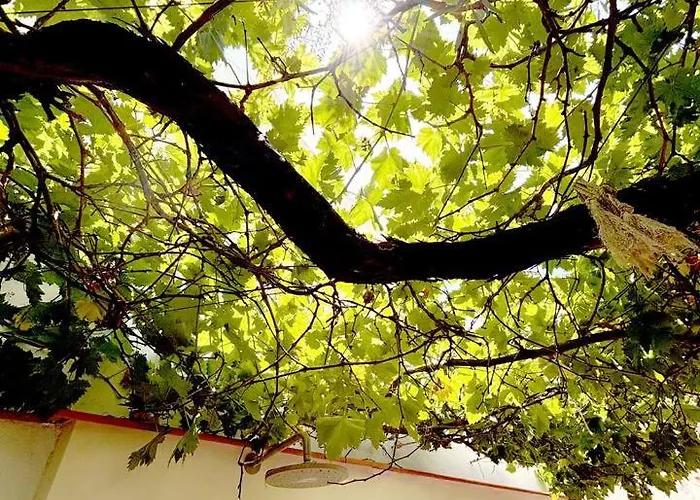 Peace And Sun In The Old Town * 에스테포나