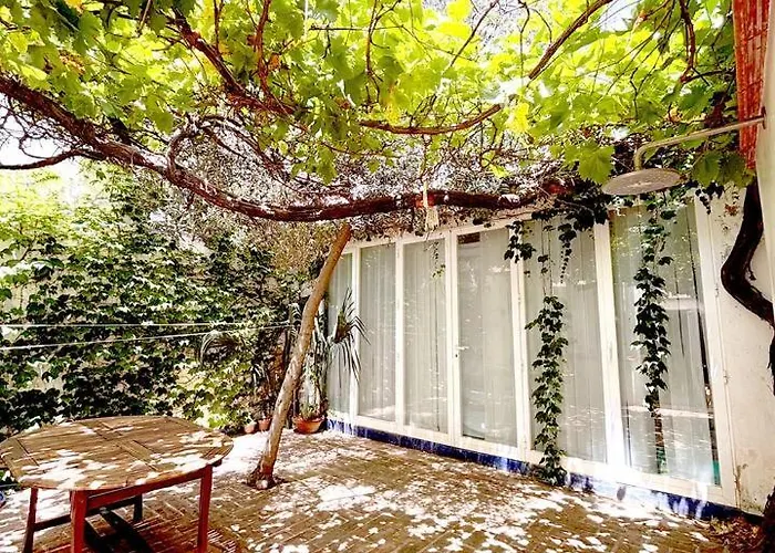 Peace And Sun In The Old Town